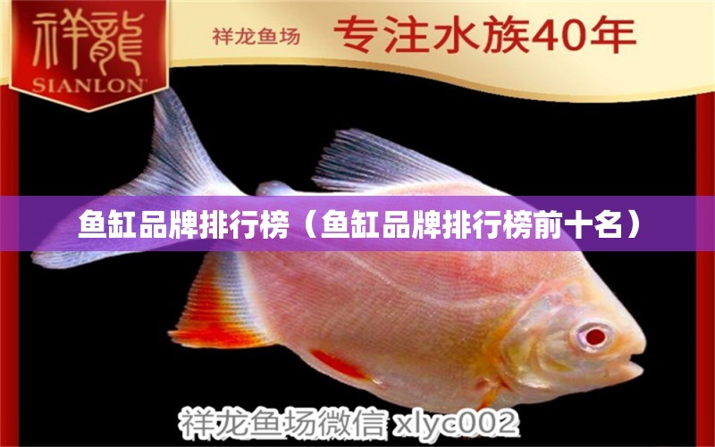 魚缸品牌排行榜（魚缸品牌排行榜前十名）