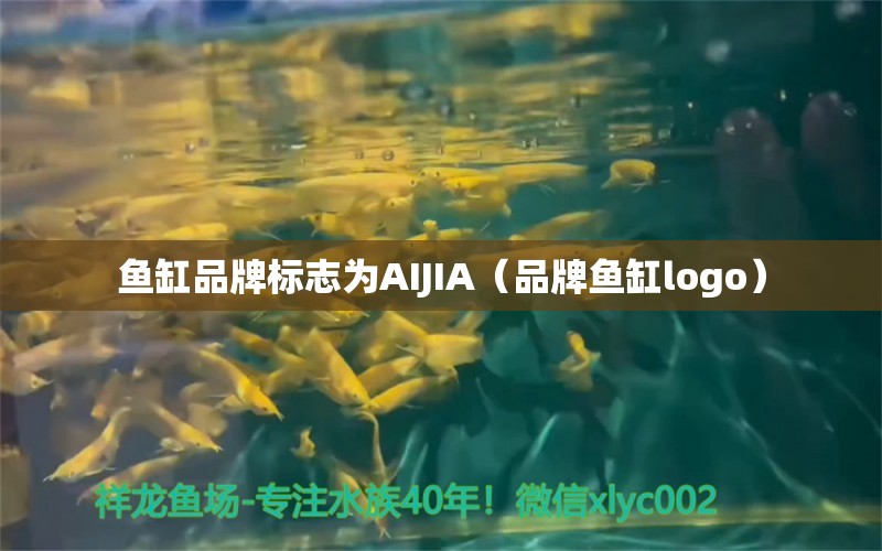 魚缸品牌標(biāo)志為AIJIA（品牌魚缸logo）