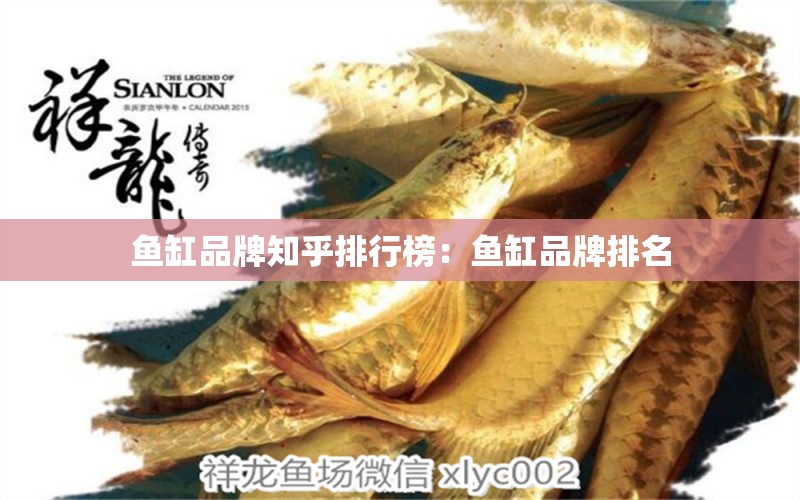 魚缸品牌知乎排行榜：魚缸品牌排名