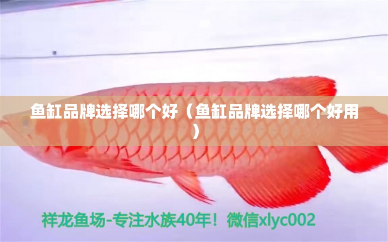 魚缸品牌選擇哪個好（魚缸品牌選擇哪個好用）