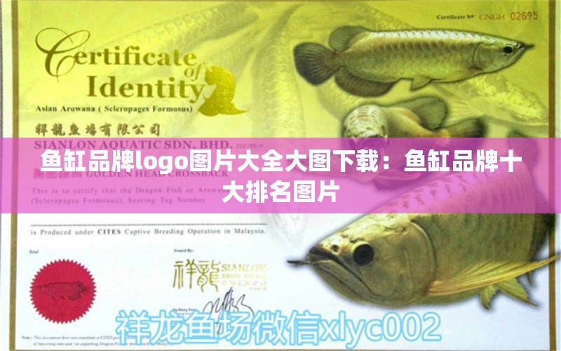 魚缸品牌logo圖片大全大圖下載：魚缸品牌十大排名圖片