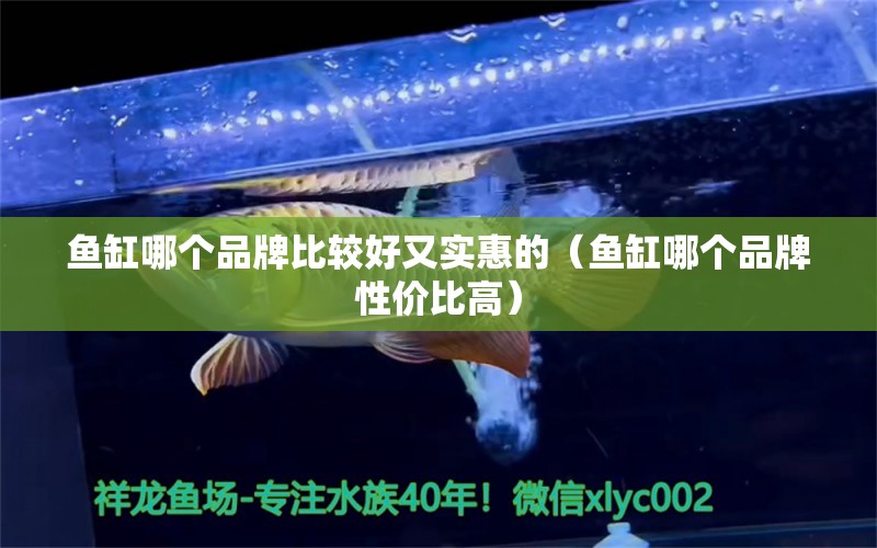 魚缸哪個品牌比較好又實惠的（魚缸哪個品牌性價比高）