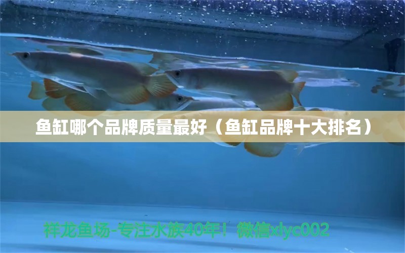 魚缸哪個品牌質(zhì)量最好（魚缸品牌十大排名） iwish愛唯希品牌魚缸