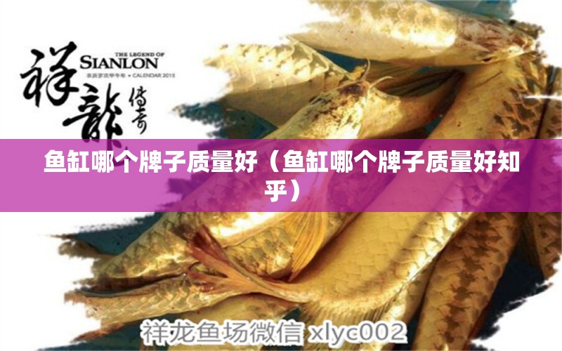 魚缸哪個牌子質(zhì)量好（魚缸哪個牌子質(zhì)量好知乎） iwish愛唯希品牌魚缸