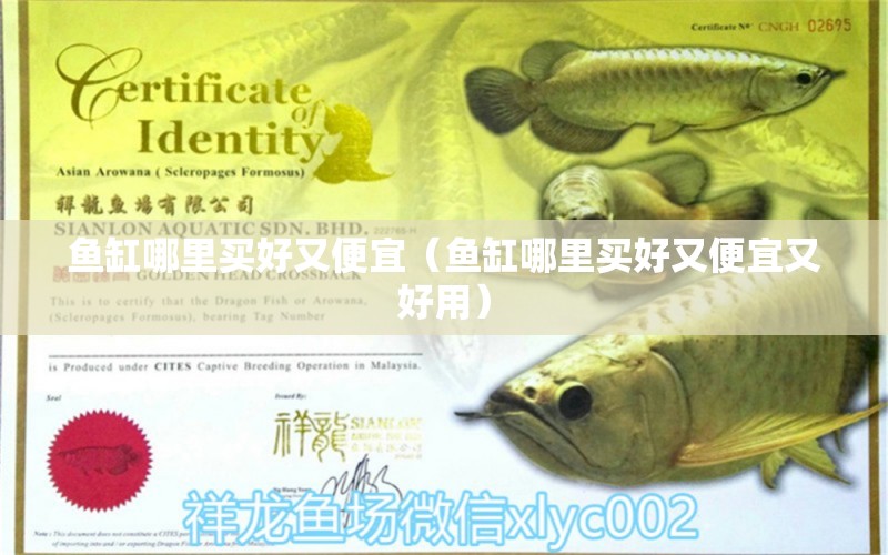 魚缸哪里買好又便宜（魚缸哪里買好又便宜又好用）