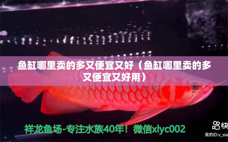 魚缸哪里賣的多又便宜又好（魚缸哪里賣的多又便宜又好用） 祥龍水族醫(yī)院