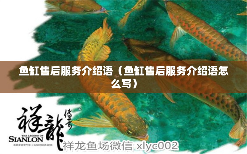 魚缸售后服務(wù)介紹語（魚缸售后服務(wù)介紹語怎么寫） 黑金魟魚