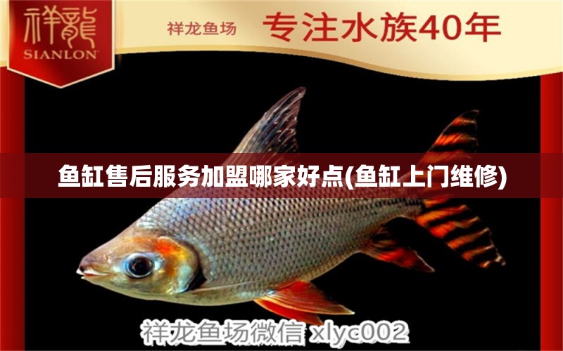 魚缸售后服務加盟哪家好點(魚缸上門維修) 三間鼠魚苗