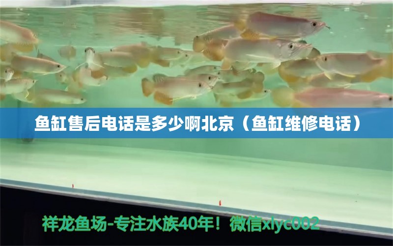 魚缸售后電話是多少啊北京（魚缸維修電話）