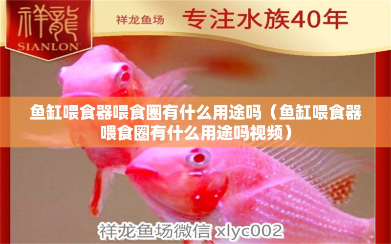 魚缸喂食器喂食圈有什么用途嗎（魚缸喂食器喂食圈有什么用途嗎視頻）