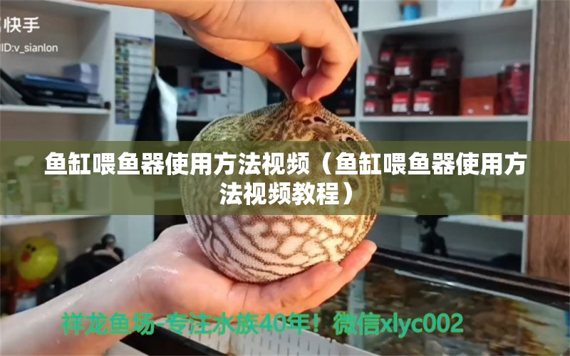 魚(yú)缸喂魚(yú)器使用方法視頻（魚(yú)缸喂魚(yú)器使用方法視頻教程）