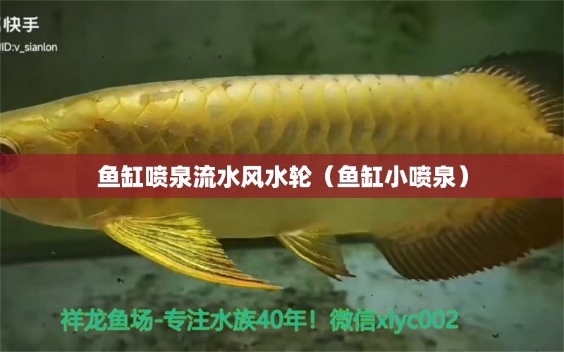 魚缸噴泉流水風(fēng)水輪（魚缸小噴泉）