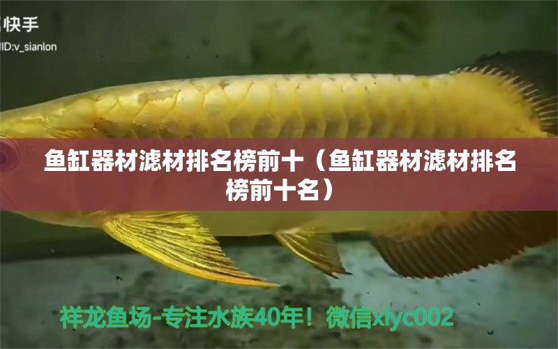 魚缸器材濾材排名榜前十（魚缸器材濾材排名榜前十名）