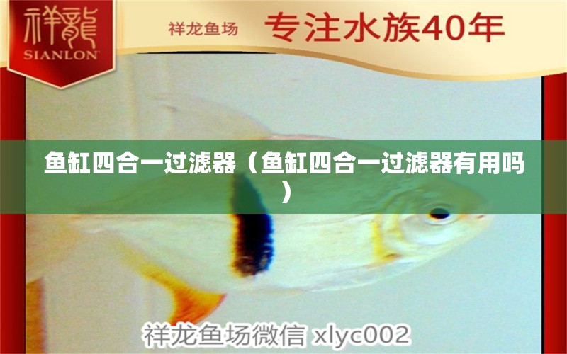 魚缸四合一過(guò)濾器（魚缸四合一過(guò)濾器有用嗎）