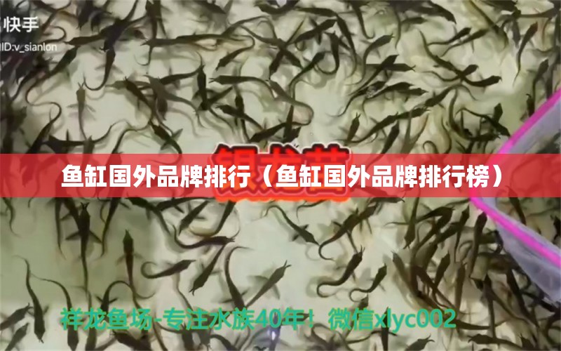 魚缸國外品牌排行（魚缸國外品牌排行榜）