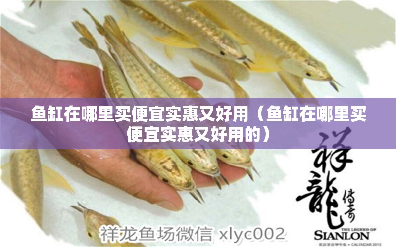 魚缸在哪里買便宜實惠又好用（魚缸在哪里買便宜實惠又好用的） 廣州祥龍國際水族貿(mào)易