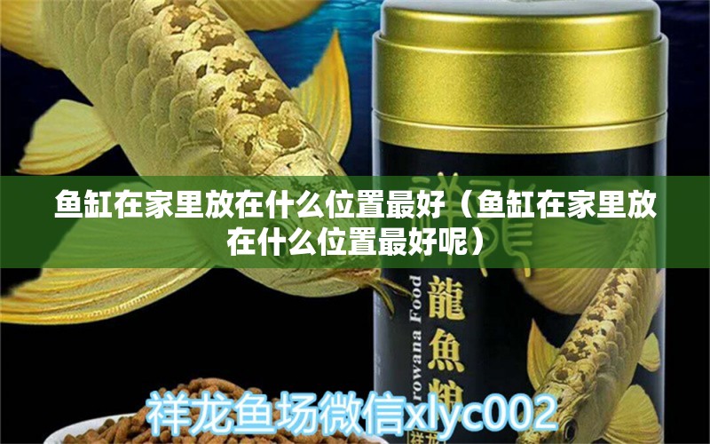 魚缸在家里放在什么位置最好（魚缸在家里放在什么位置最好呢） 斑馬鴨嘴魚