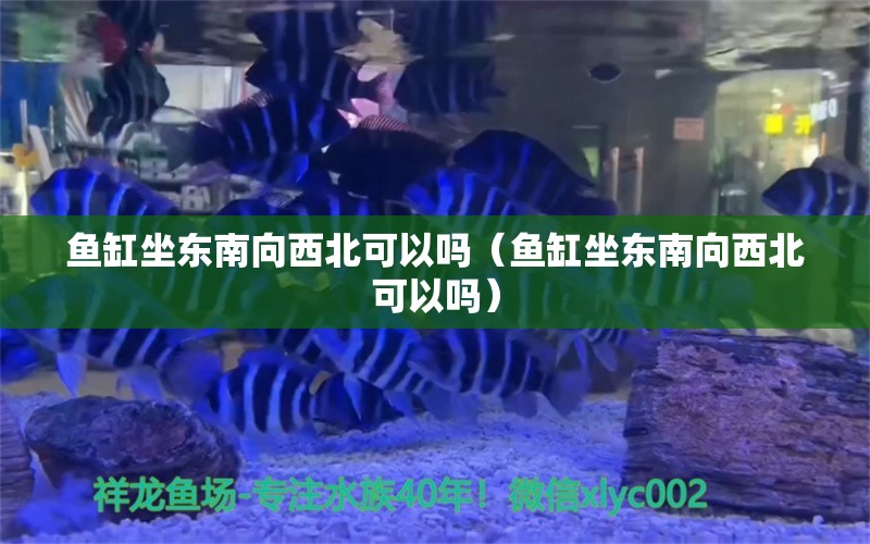 魚缸坐東南向西北可以嗎（魚缸坐東南向西北可以嗎）