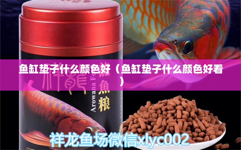 魚缸墊子什么顏色好（魚缸墊子什么顏色好看）