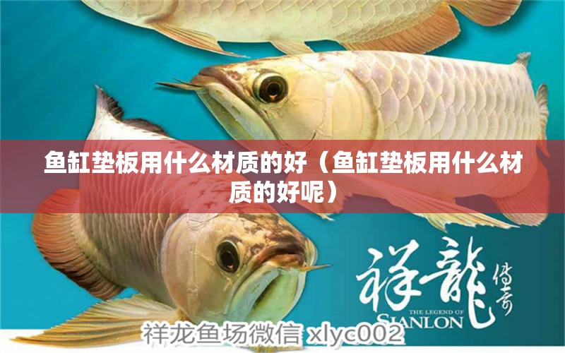 魚缸墊板用什么材質的好（魚缸墊板用什么材質的好呢） 魚缸等水族設備