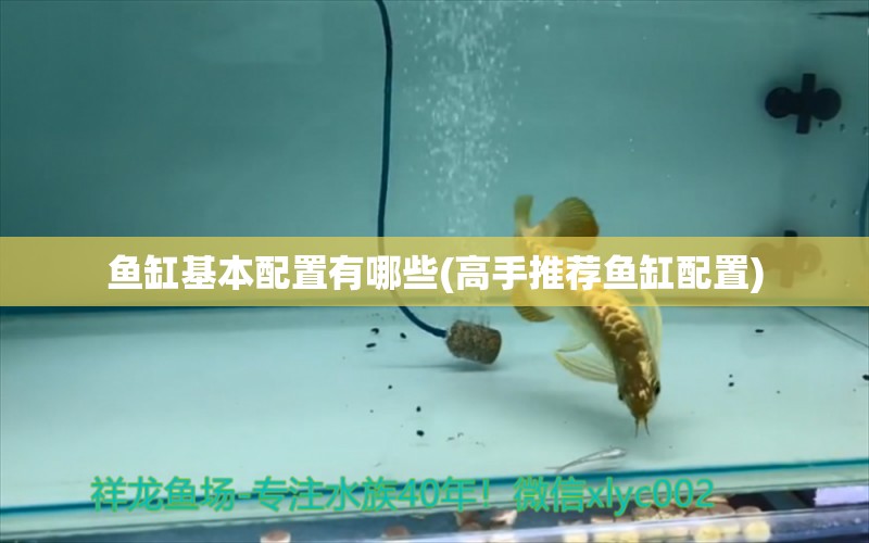 魚缸基本配置有哪些(高手推薦魚缸配置) 水族用品