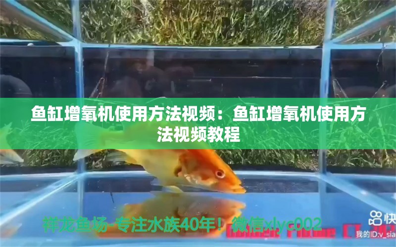 魚缸增氧機(jī)使用方法視頻：魚缸增氧機(jī)使用方法視頻教程