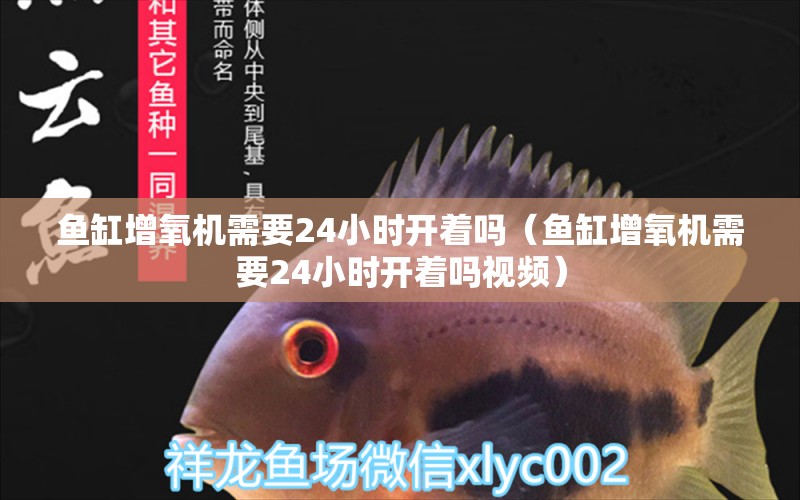 魚缸增氧機(jī)需要24小時開著嗎（魚缸增氧機(jī)需要24小時開著嗎視頻）