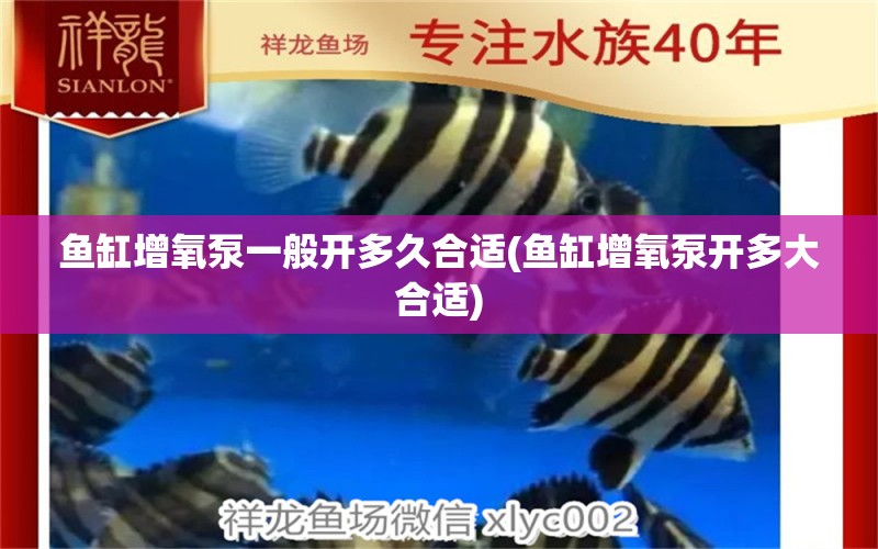 魚缸增氧泵一般開多久合適(魚缸增氧泵開多大合適)