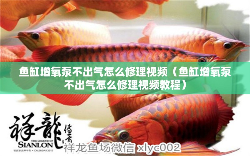 魚(yú)缸增氧泵不出氣怎么修理視頻（魚(yú)缸增氧泵不出氣怎么修理視頻教程）