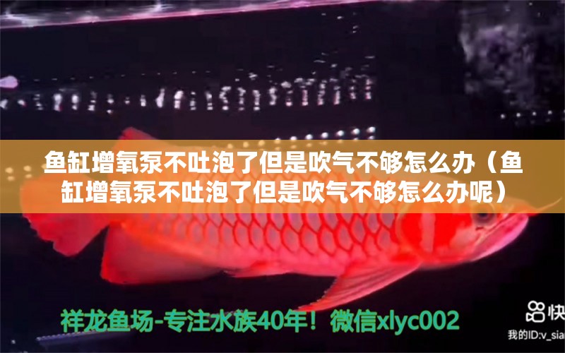 魚缸增氧泵不吐泡了但是吹氣不夠怎么辦（魚缸增氧泵不吐泡了但是吹氣不夠怎么辦呢）