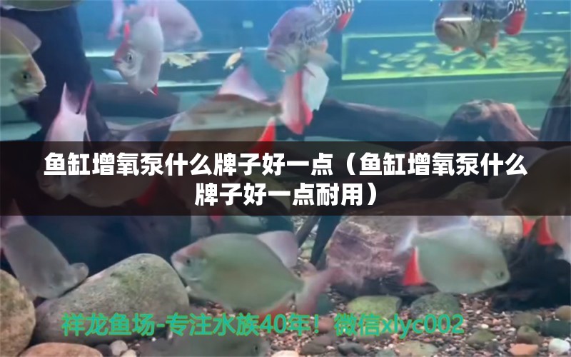 魚缸增氧泵什么牌子好一點（魚缸增氧泵什么牌子好一點耐用）