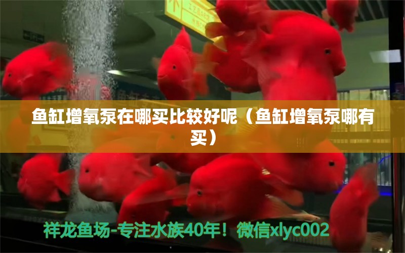 魚(yú)缸增氧泵在哪買(mǎi)比較好呢（魚(yú)缸增氧泵哪有買(mǎi)）