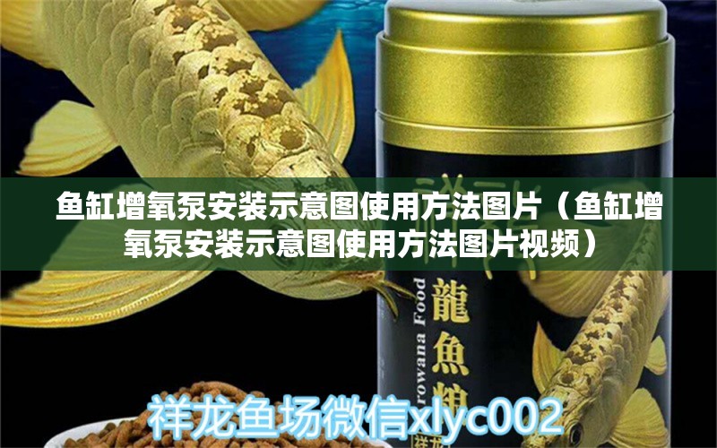 魚缸增氧泵安裝示意圖使用方法圖片（魚缸增氧泵安裝示意圖使用方法圖片視頻） 祥禾Super Red紅龍魚