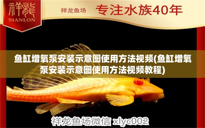 魚(yú)缸增氧泵安裝示意圖使用方法視頻(魚(yú)缸增氧泵安裝示意圖使用方法視頻教程)