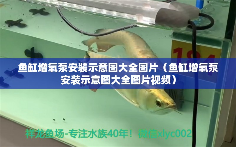 魚(yú)缸增氧泵安裝示意圖大全圖片（魚(yú)缸增氧泵安裝示意圖大全圖片視頻）