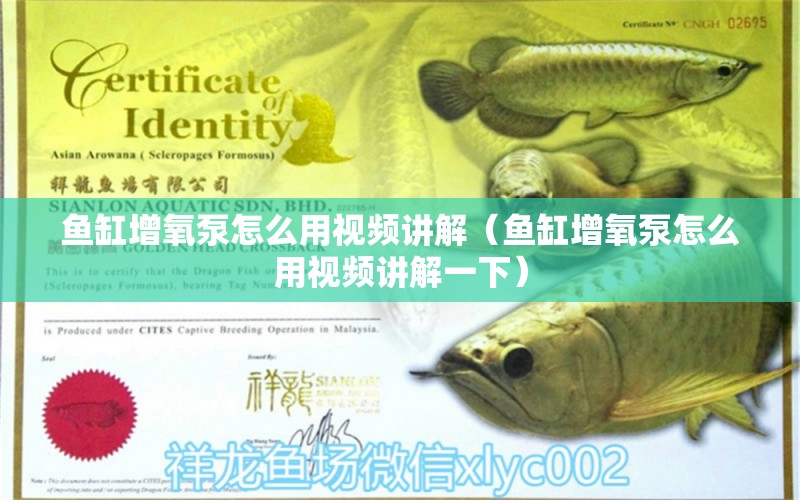 魚缸增氧泵怎么用視頻講解（魚缸增氧泵怎么用視頻講解一下）