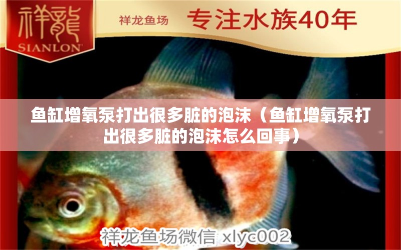 魚缸增氧泵打出很多臟的泡沫（魚缸增氧泵打出很多臟的泡沫怎么回事） 黃金眼鏡蛇雷龍魚