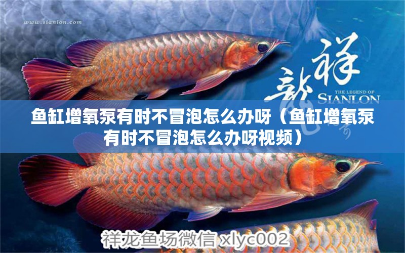 魚(yú)缸增氧泵有時(shí)不冒泡怎么辦呀（魚(yú)缸增氧泵有時(shí)不冒泡怎么辦呀視頻）