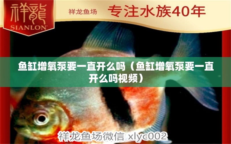 魚缸增氧泵要一直開么嗎（魚缸增氧泵要一直開么嗎視頻）