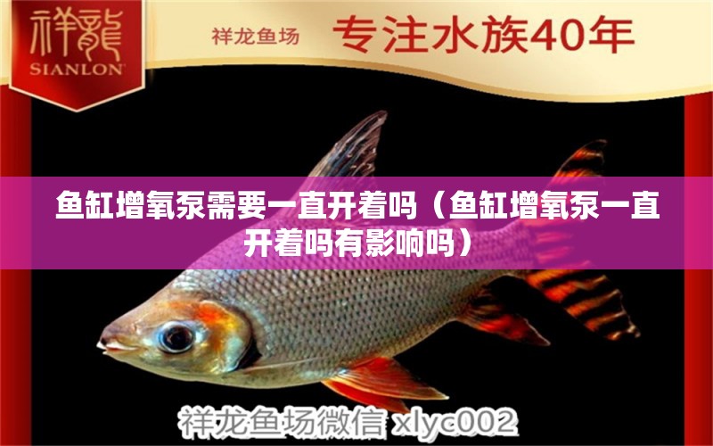 魚缸增氧泵需要一直開著嗎（魚缸增氧泵一直開著嗎有影響嗎）