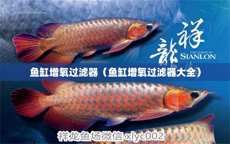 魚缸增氧過濾器（魚缸增氧過濾器大全）