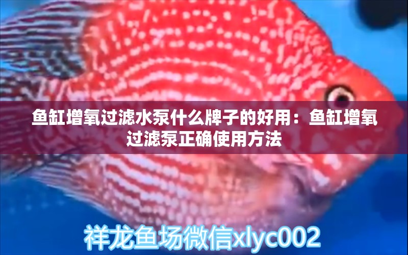 魚缸增氧過(guò)濾水泵什么牌子的好用：魚缸增氧過(guò)濾泵正確使用方法