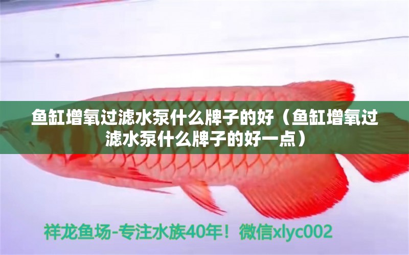 魚缸增氧過濾水泵什么牌子的好（魚缸增氧過濾水泵什么牌子的好一點）