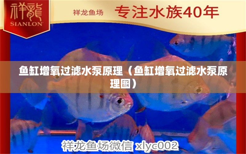 魚缸增氧過濾水泵原理（魚缸增氧過濾水泵原理圖）