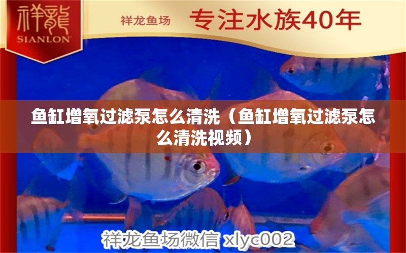 魚缸增氧過(guò)濾泵怎么清洗（魚缸增氧過(guò)濾泵怎么清洗視頻） 祥龍水族醫(yī)院