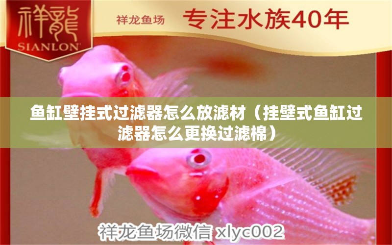 魚缸壁掛式過濾器怎么放濾材（掛壁式魚缸過濾器怎么更換過濾棉）