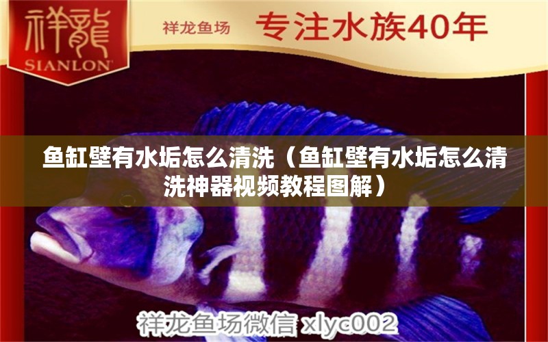 魚(yú)缸壁有水垢怎么清洗（魚(yú)缸壁有水垢怎么清洗神器視頻教程圖解）