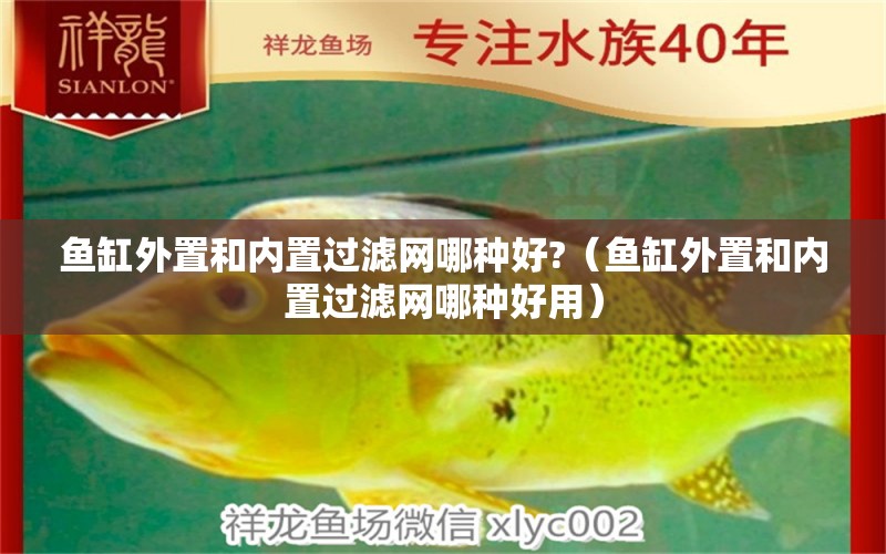 魚缸外置和內(nèi)置過濾網(wǎng)哪種好?（魚缸外置和內(nèi)置過濾網(wǎng)哪種好用）