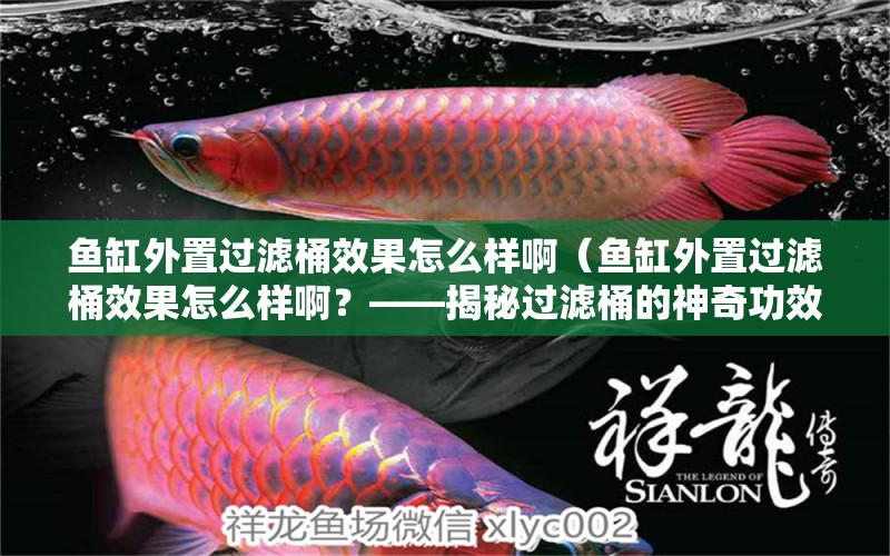 魚缸外置過濾桶效果怎么樣?。~缸外置過濾桶效果怎么樣啊？——揭秘過濾桶的神奇功效）（魚缸外置過濾桶效果怎么樣啊圖片） 廣州祥龍國際水族貿(mào)易