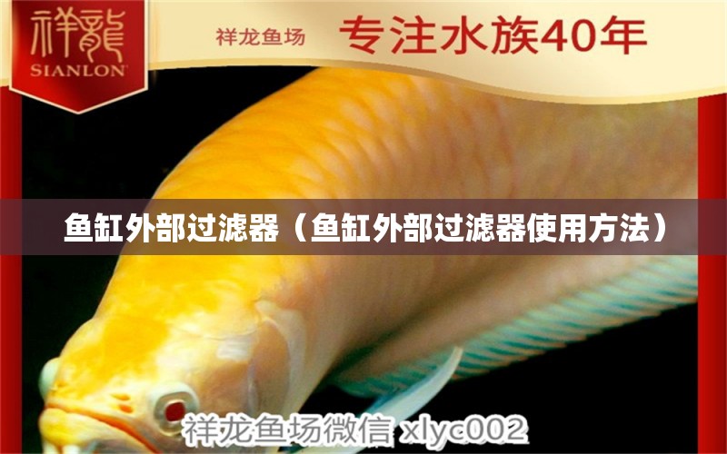 魚缸外部過濾器（魚缸外部過濾器使用方法） 祥龍水族醫(yī)院